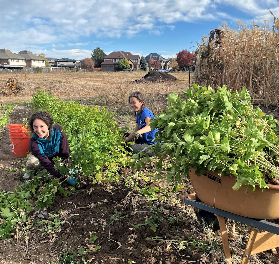 Volunteers at community garden