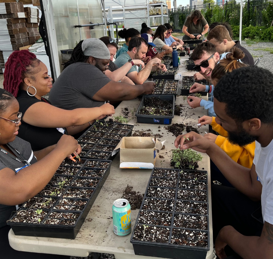 Volunteers serve by transplanting plants during an Happy Hour program with Repair Detroit's service partner Keep Growing Detroit