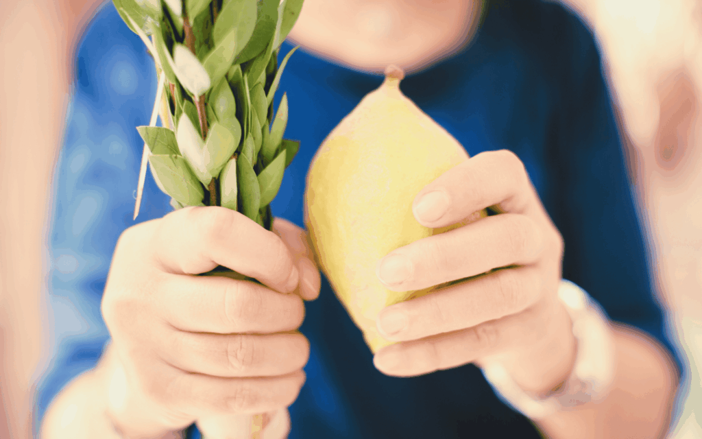 Sukkot: A Shelter of Peace