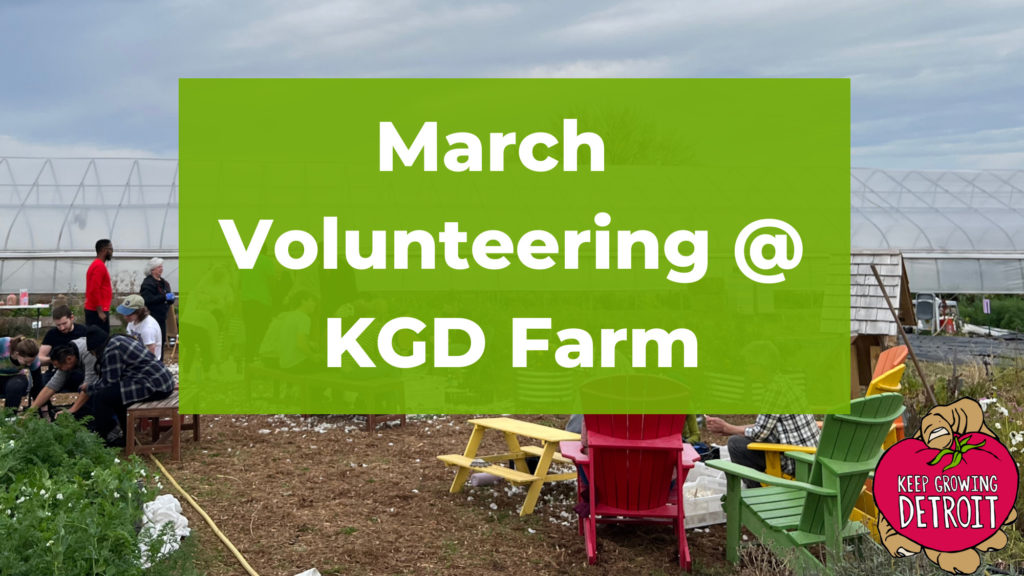 March Volunteering @ KGD Farm