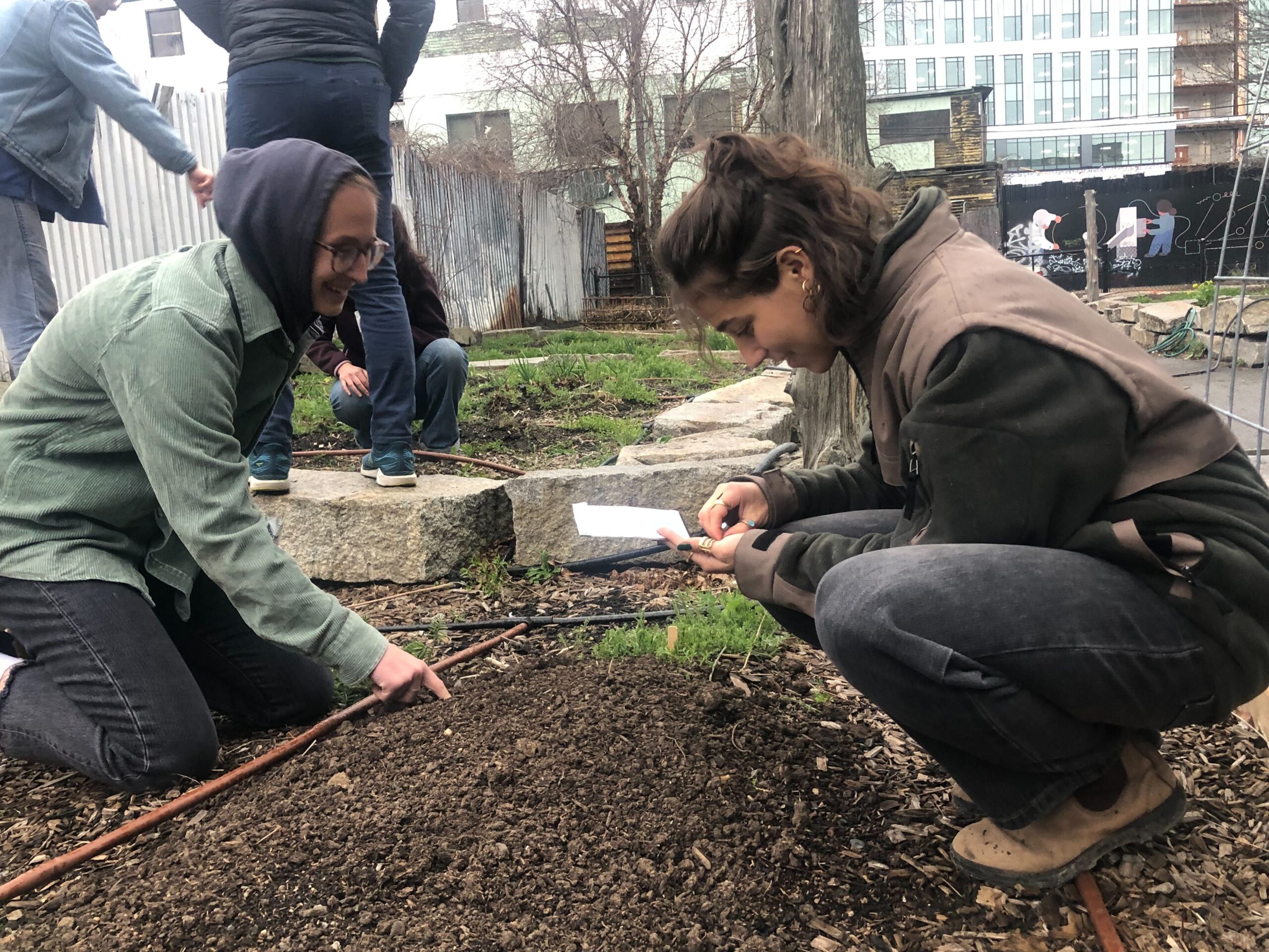 Repair the World Boston volunteers tend to an urban garden.