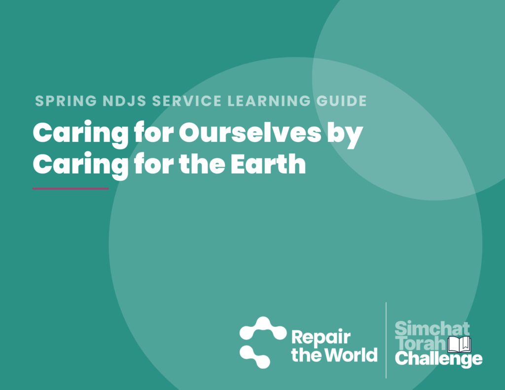 Caring for Ourselves by Caring for the Earth