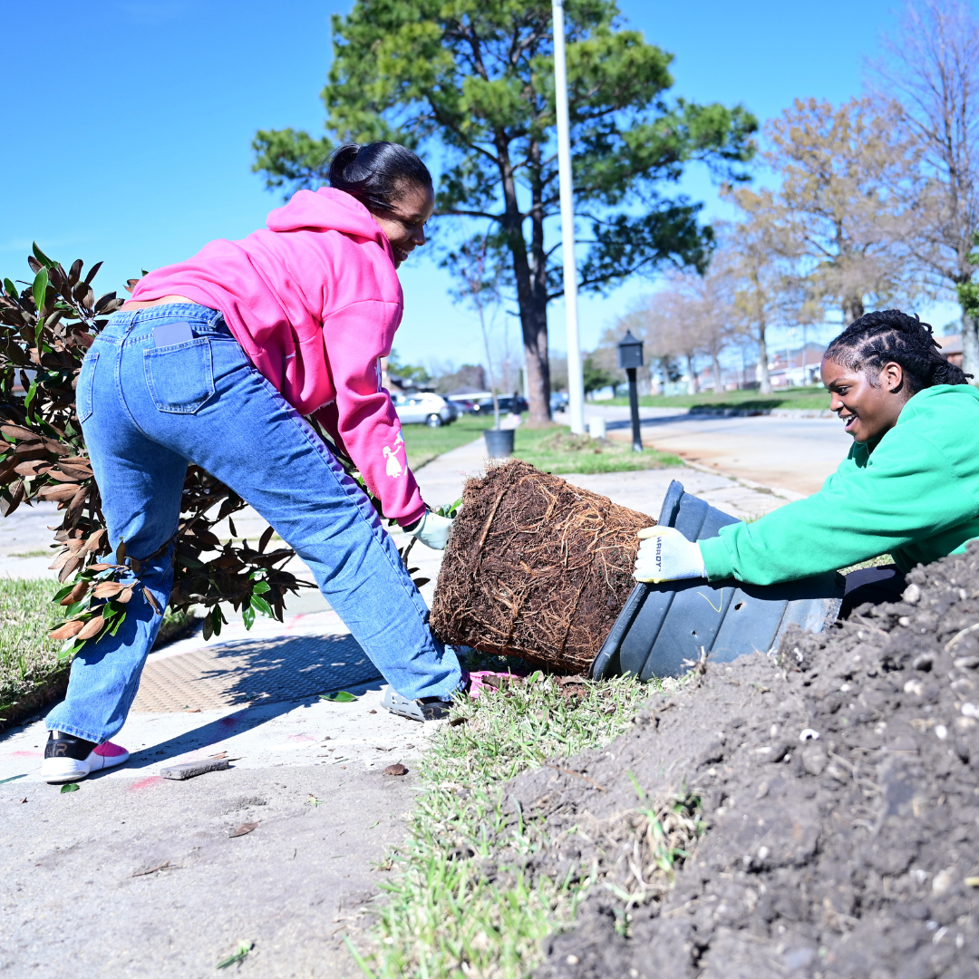 Two volunteers work together to plant a shrub outdoors on a sunny day. One, wearing a pink hoodie and jeans, leans forward holding the root ball of the plant, while the other, in a green hoodie and work gloves, steadies a large planting container beside a freshly dug hole in the ground. Both are smiling. Trees, a sidewalk, and a residential street are visible in the background.